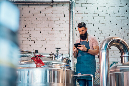 Men working at brewery and using a tablet application for fermentation process