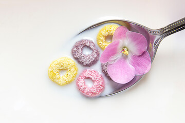 Fototapeta na wymiar milk in a spoon with multi-colored rainbow rings of cereals and an edible pink violet flower. healthy food, fast breakfast. copy space