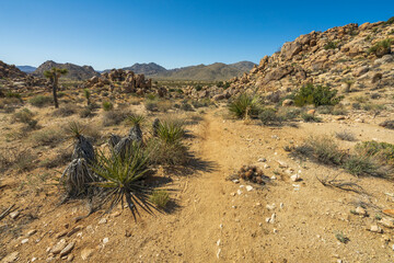 hiking the maze loop in joshua tree national park, california, usa