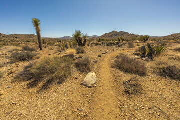 hiking the maze loop in joshua tree national park, california, usa
