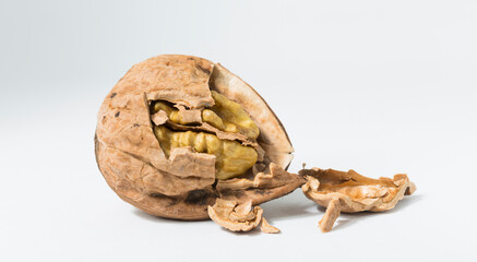 Walnuts are rounded, single-seeded stone fruits of the walnut tree. Cracking a nut.