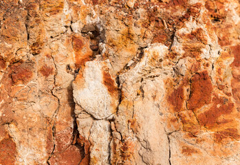 Sedimentary rocks with a high content of iron oxide. Red soil, loam. The texture of the soil.