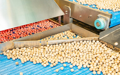 process of cleaning and sorting nuts in a factory