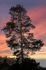 Cambria Sunset, May 2022