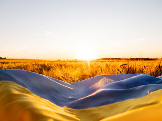 Ukrainian flag on wheat field during sunset. - 508534257