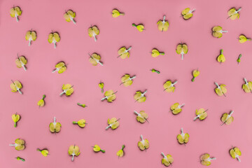 Floral background. Delicate flowers in the shape of hearts on a pink background. Top view.
