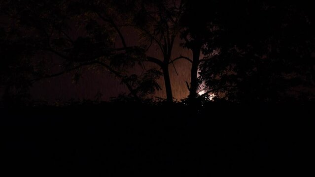 Burning transformer flashes bright lights during heavy rainstorm on side of road through silhouetted trees on a cold dark night in New Jersey