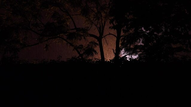 Electrical transformer on fire while flashing bright lights during thunderstorm on side of road with silhouetted trees on a wet cold dark night in New Jersey