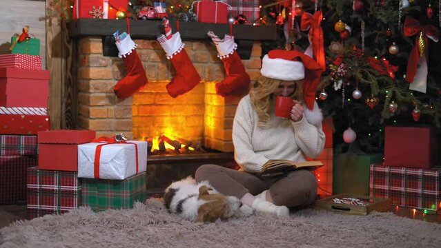 Young woman reading a book. Lifestyle Christmas Eve and New Year. Beautiful happy girl lit by fire from the fireplace near an elegant christmas tree. Gift boxes, pet dog fox terrier