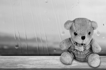 Black and white photo. view Bear sitting on window background in rainy day. Loneliness concept