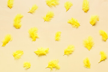 Beautiful yellow feathers on color background