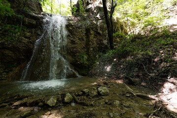 Obraz premium Tropical or european forests background