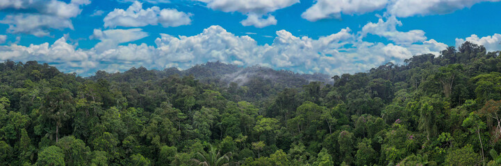 Aerial panorama of tropical forest with a beautiful cloudscape, a nature background of the Amazon...