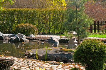 A small decorative pond with stones and various plants in a city park