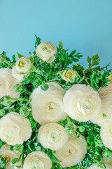 Ranunculus flowers. ranunculus on a blue background. Spring flowers bouquet.Floral delicate background