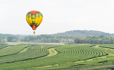 Naklejka premium hot air balloon in the mountains