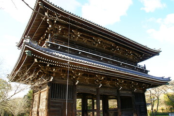 Fototapeta premium 根来寺・大門