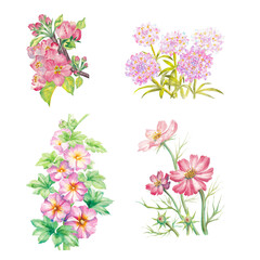 set of hand painted watercolor illustration of pink flowers, isolated on white background