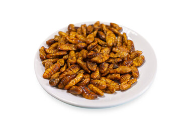 Fried insect, Fried chrysalis isolated on white plate. 