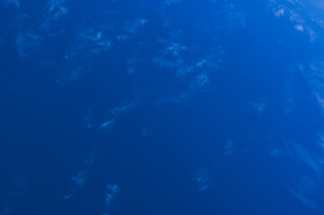 Fototapeta na wymiar blue sky with small clouds