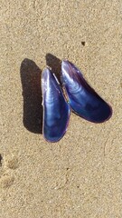 flip flops on the beach