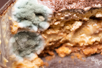 Close up, Fungus on the cake. mold with spores on spoiled, rotten cake