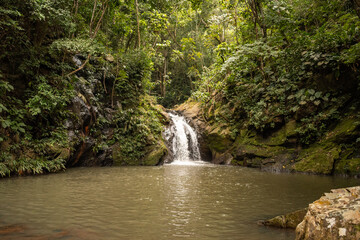 Fototapeta na wymiar waterfall in the middle of nature