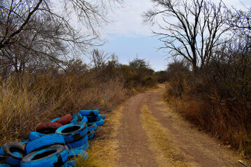 Paisaje camino