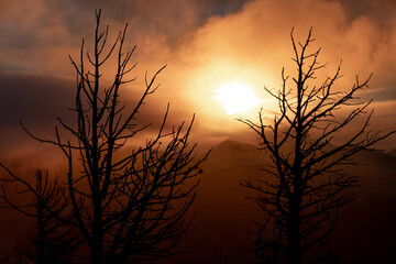 Obraz premium sunrise