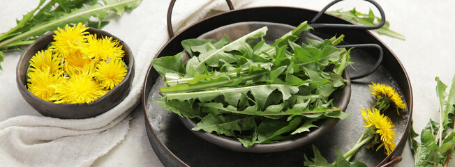 Fresh dandelion on light background.