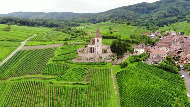 Aerial orbiting shot of beautiful old fortified church, located at top of hill, lush green vineyards on slopes around. Landmark of Hunawihr and Alsace region, Eglise Saint-Jacques-le-Majeur