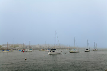 Fototapeta na wymiar Elegant and modern sailboats moored to a pier in a yacht marina. Thick white fog. High-quality photo
