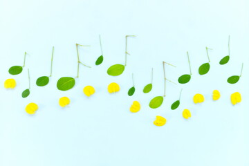 Fresh refreshing spring summer music concept. Creative composition of fresh leaves with bright yellow flowers arranged into musical notes.