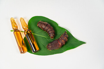Ampoules with poison for harmful insects for the garden and field.