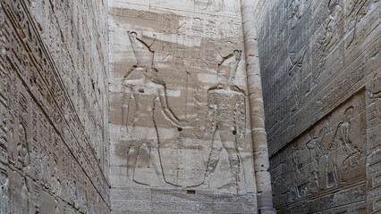 Carved drawings of gods and hieroglyphs are visible on the walls of a room in the ancient temple of Horus in Edfu. Egypt - obrazy, fototapety, plakaty