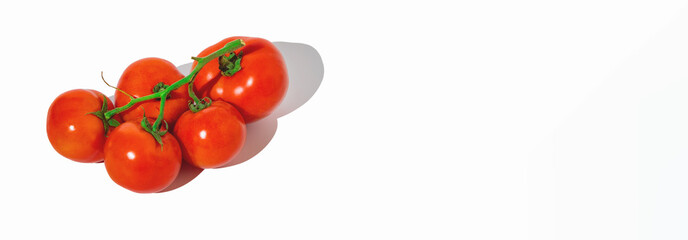 Tomato branch on white background, banner
