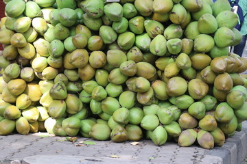 A large group of juicy tender coconuts for sale, Pile of young and fresh coconuts kept for selling