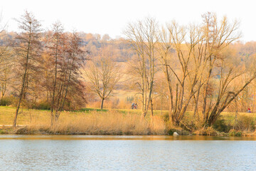 Regensburg, Germany: people are riding the bike on a rural road at sunset along Danube river in Regensburg, Germany, Europe.