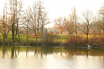 Regensburg, Germany: people are riding the bike on a rural road at sunset along Danube river in Regensburg, Germany, Europe.