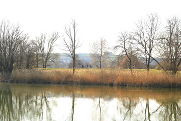 Obraz premium Regensburg, Germany: people are riding the bike on a rural road at sunset along Danube river in Regensburg, Germany, Europe.