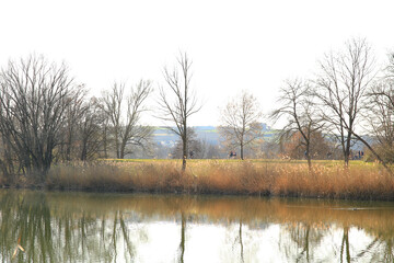 Obraz premium Regensburg, Germany: people are riding the bike on a rural road at sunset along Danube river in Regensburg, Germany, Europe.