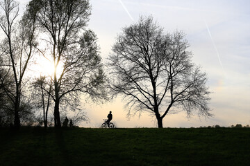 Regensburg, Germany: silhouette of people riding the bike on a rural road at sunset along Danube river in Regensburg, Germany, Europe.