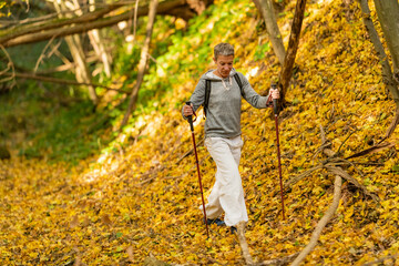Fototapeta premium Mindful forest hike