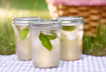 Lemon Verbena and Sage Summer Herbal Sweet Tea