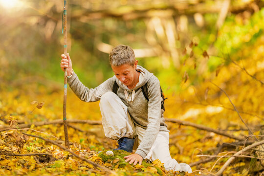 Forest Bathing