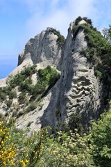 Serrara Fontana - Rocce tufacee sulla cima di Monte Epomeo