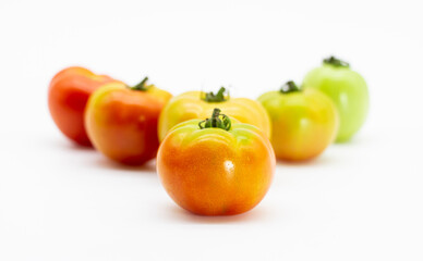 Fresh tomatoes. Different types of tomatoes in a row over on white background with cliping path