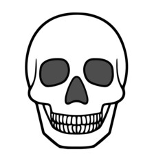 頭蓋骨、ドクロ、人体の頭の骨、白黒