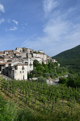 Obraz premium The landscape of Petina, a village in the mountains of Salerno province, Italy.