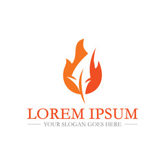 education logo , university logo vector